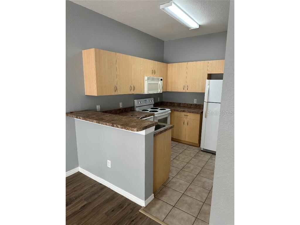 361 Port Pleasant Drive Kissimmee FL 34759 O6352777 image5