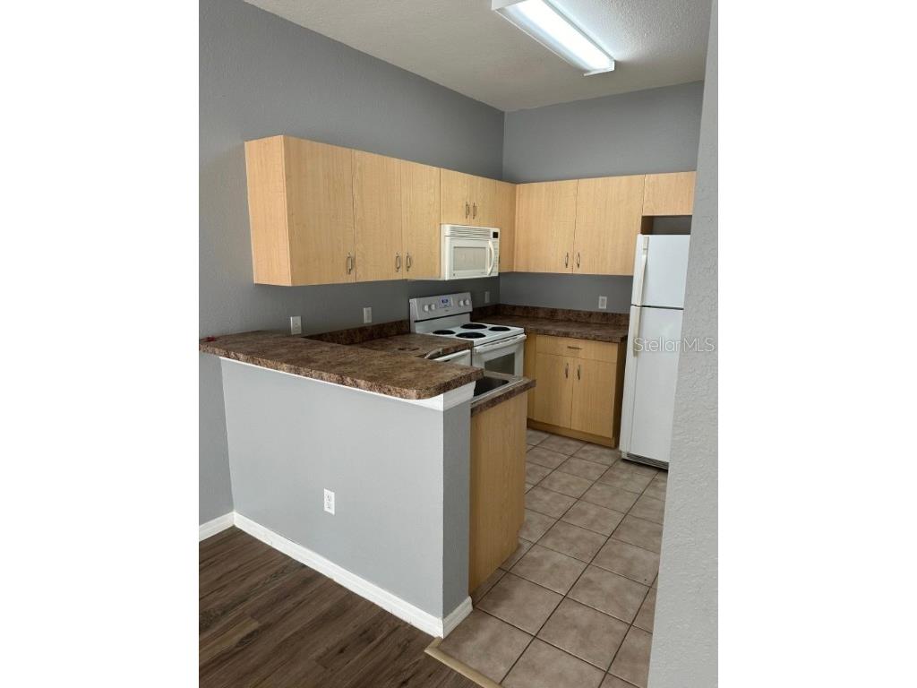 361 Port Pleasant Drive Kissimmee FL 34759 O6363880 image5