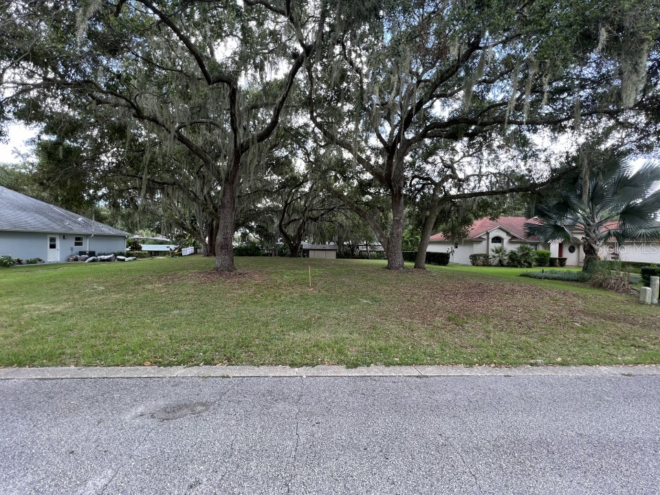 361 Reserve Drive Tavares FL 32778 O6070333 image1