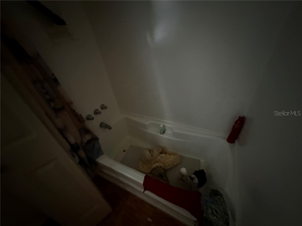 361 Tampico Drive Palmetto FL 34221 A4671442 image12