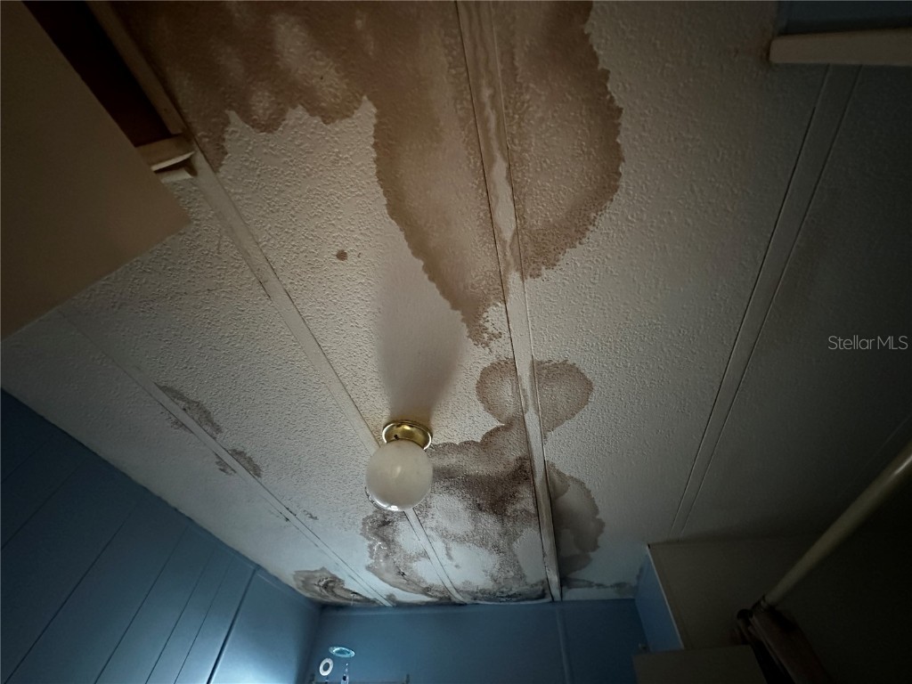 361 Tampico Drive Palmetto FL 34221 A4671442 image14