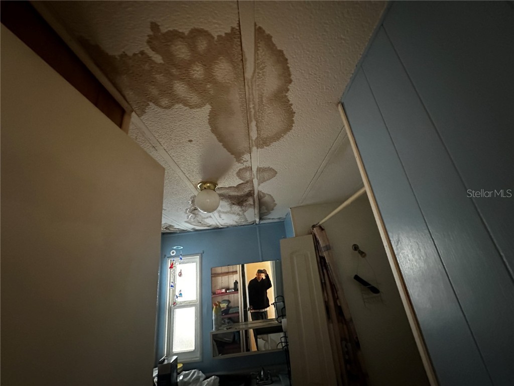 361 Tampico Drive Palmetto FL 34221 A4671442 image18