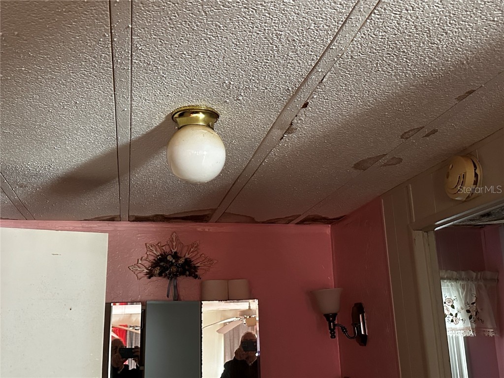 361 Tampico Drive Palmetto FL 34221 A4671442 image27