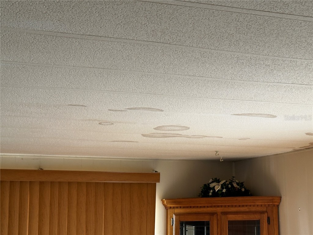 361 Tampico Drive Palmetto FL 34221 A4671442 image7