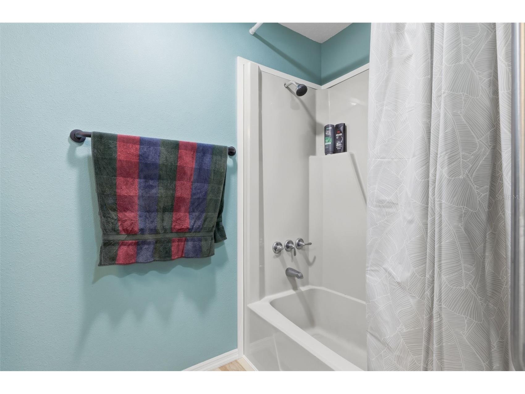 361 Wade Park Court Davenport FL 33897 O6380805 image20