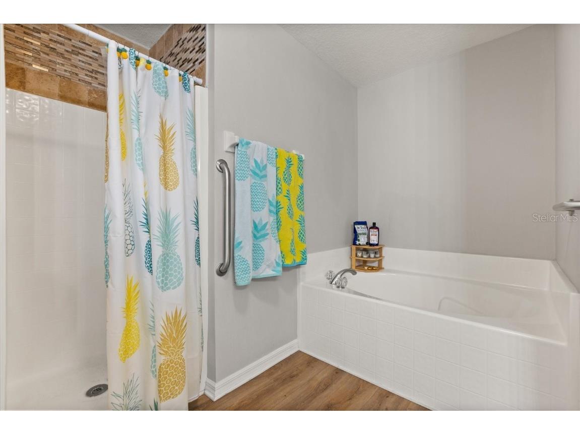 3610 Doe Run Drive Saint Cloud FL 34772 O6319083 image12