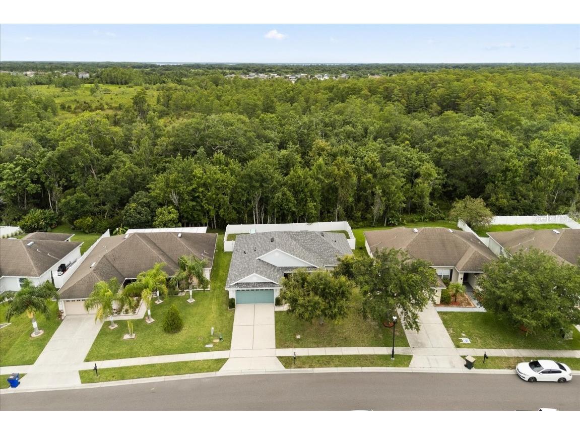 3610 Doe Run Drive Saint Cloud FL 34772 O6319083 image21