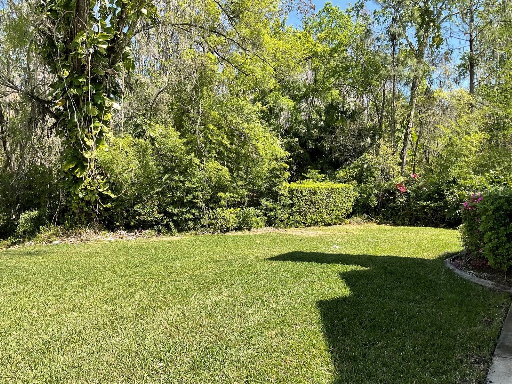 3610 Lost Pine Way #3610 Valrico FL 33596 TB8360831 image11