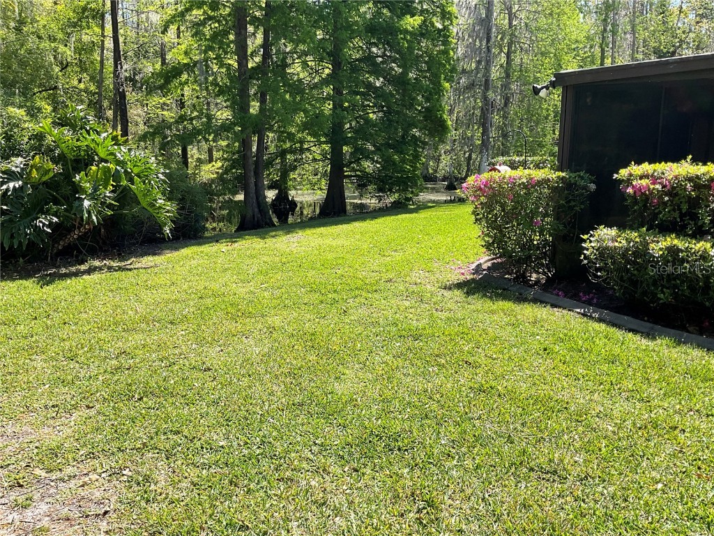 3610 Lost Pine Way #3610 Valrico FL 33596 TB8360831 image13