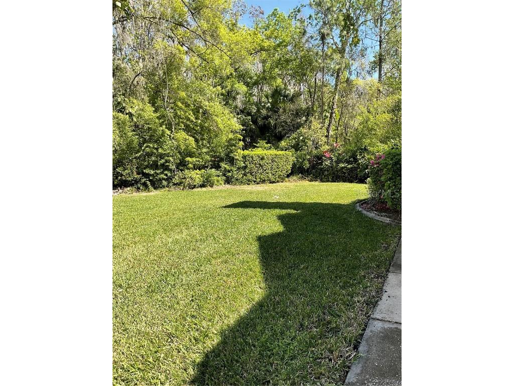 3610 Lost Pine Way #3610 Valrico FL 33596 TB8360831 image19