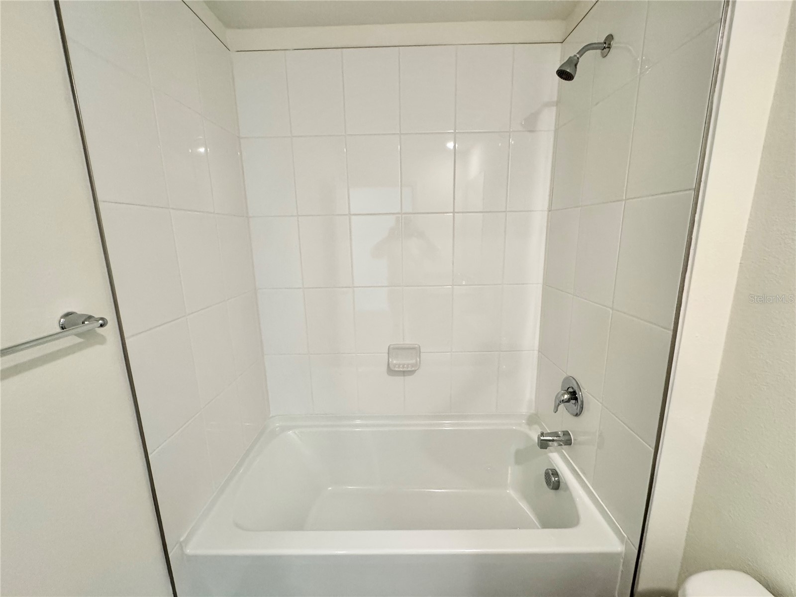 36100 Sunflower Hill Drive Zephyrhills FL 33541 TB8509576 image57