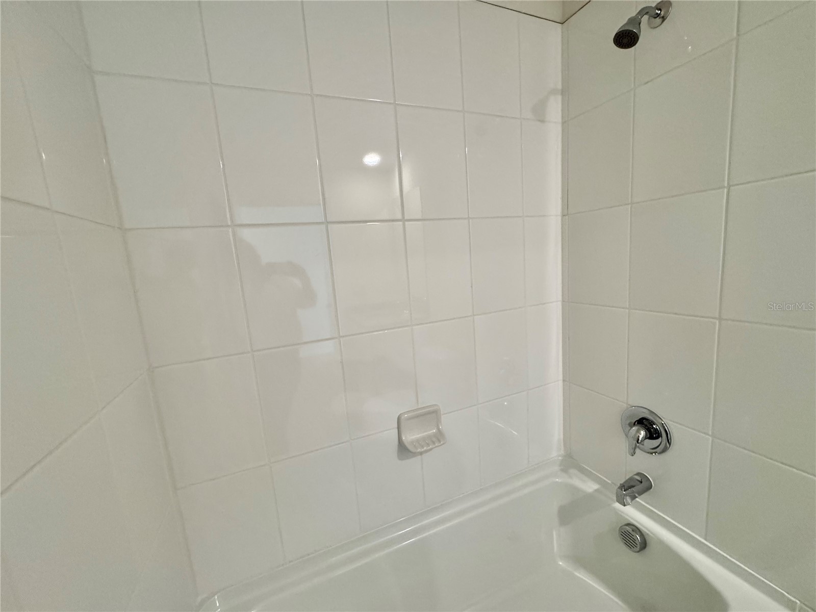 36100 Sunflower Hill Drive Zephyrhills FL 33541 TB8509576 image58