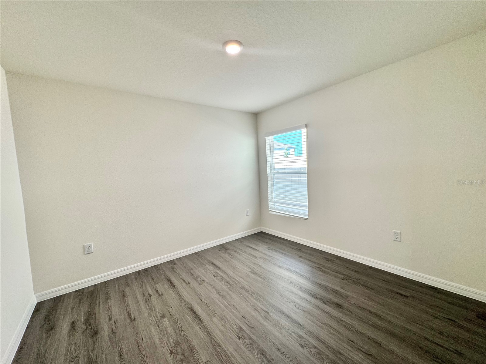 36100 Sunflower Hill Drive Zephyrhills FL 33541 TB8509576 image63
