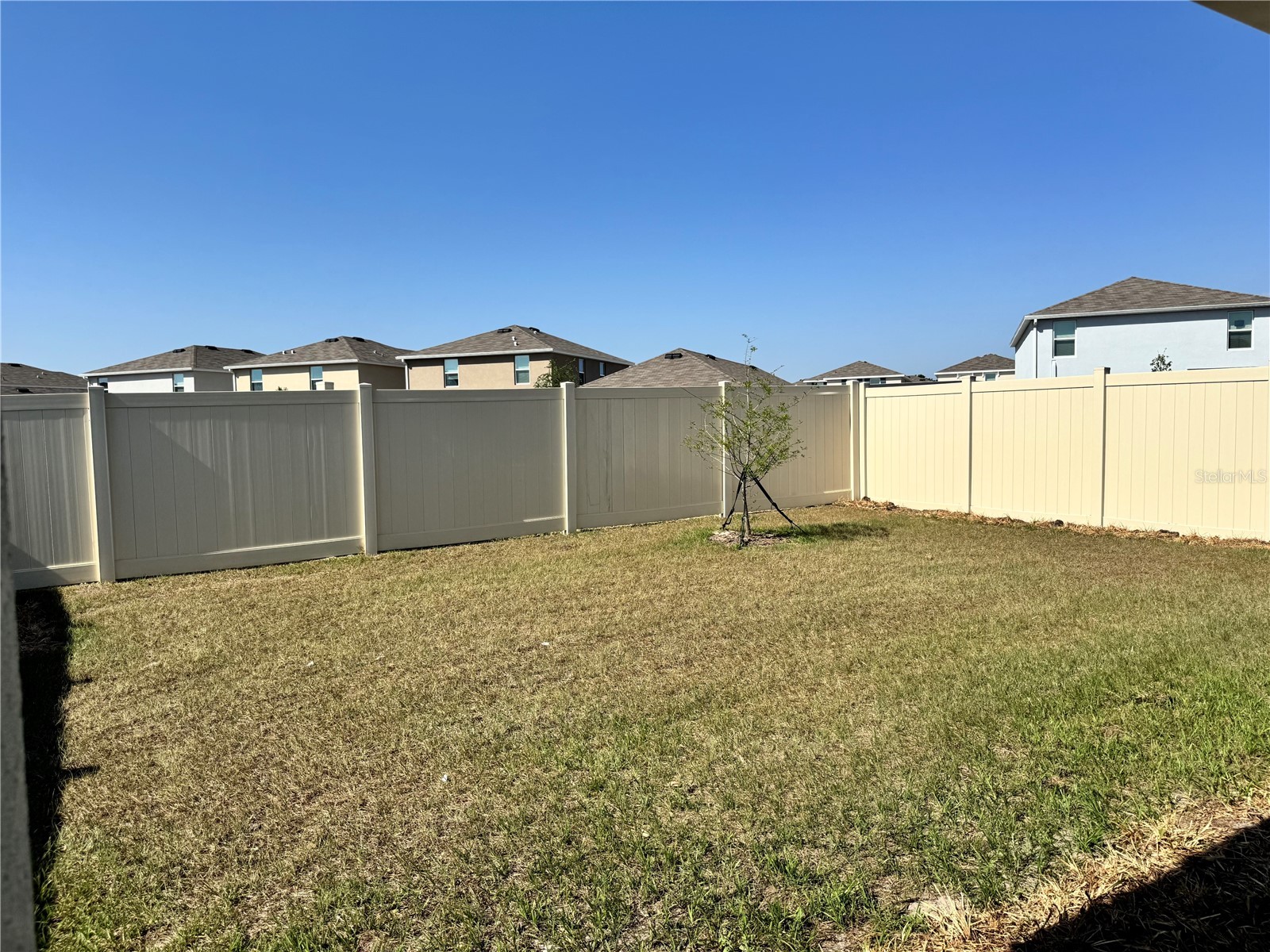 36100 Sunflower Hill Drive Zephyrhills FL 33541 TB8509576 image86