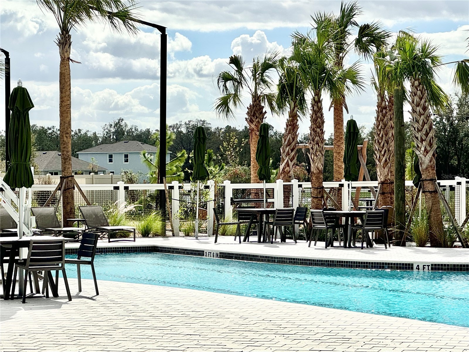 36100 Sunflower Hill Drive Zephyrhills FL 33541 TB8509576 image93