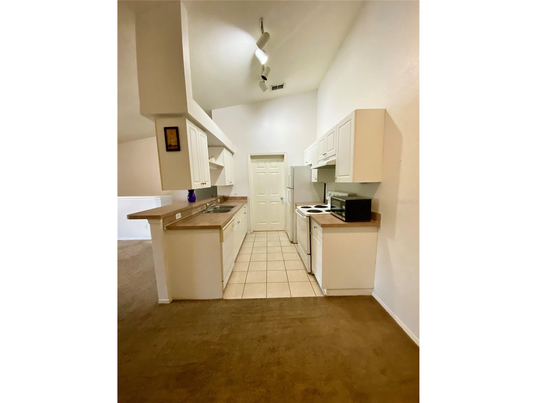 36101 Deer Creek Drive #202 Zephyrhills FL 33541 TB8503331 image4