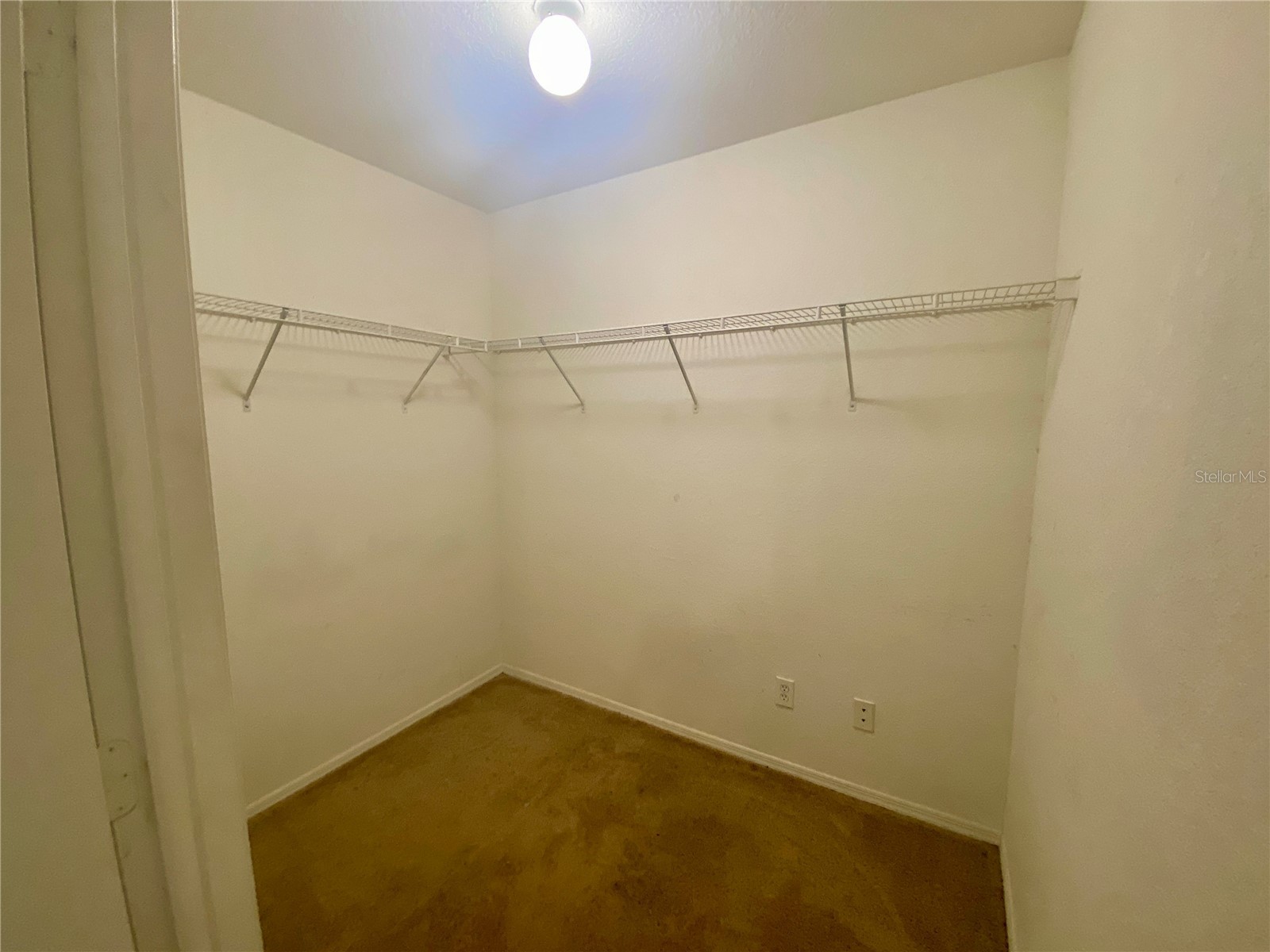 36101 Deer Creek Drive #202 Zephyrhills FL 33541 TB8503331 image7
