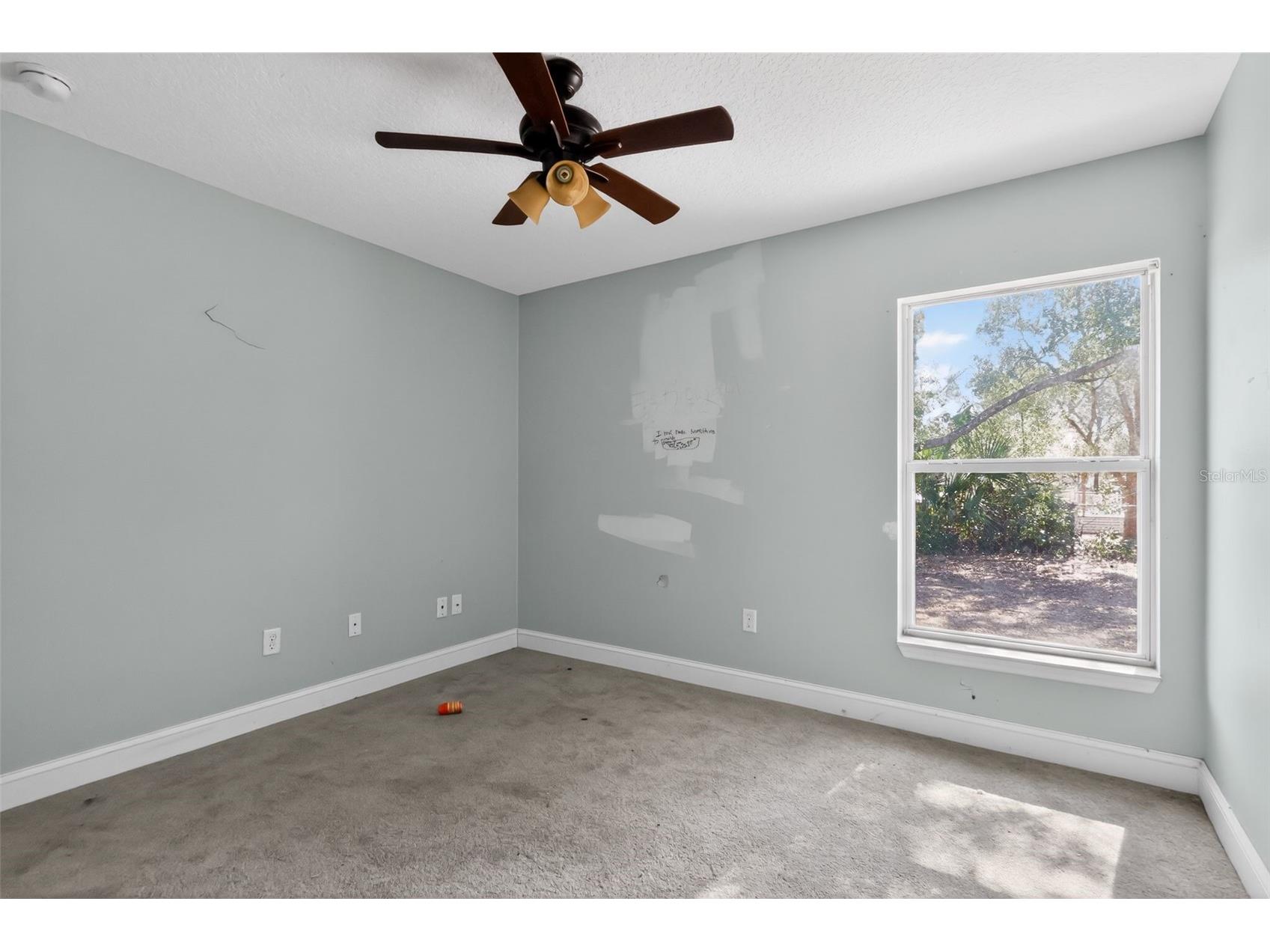 36101 Mattawan Drive Eustis FL 32736 O6379809 image3