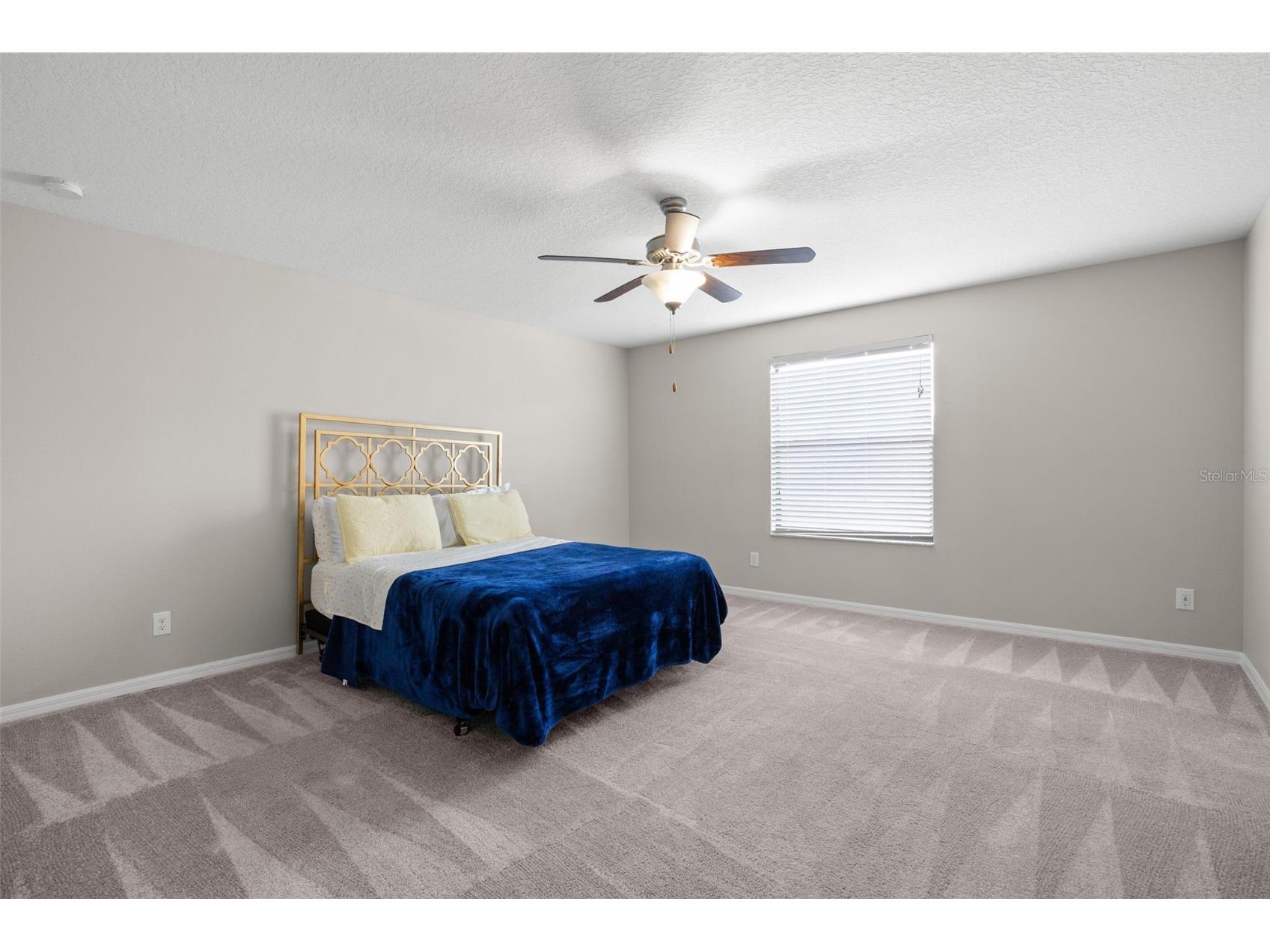 36101 Stable Wilk Avenue Zephyrhills FL 33541 TB8517987 image18