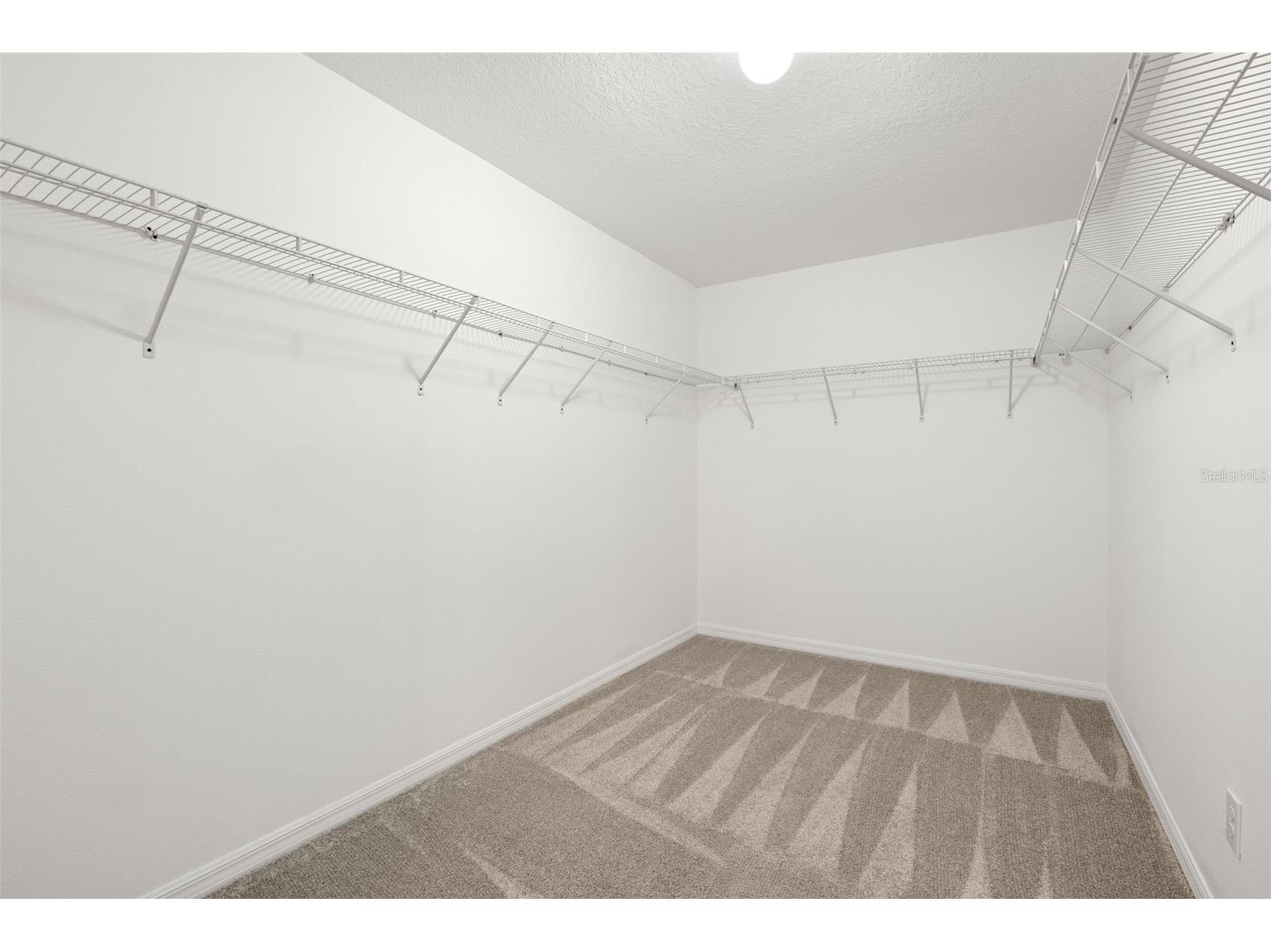 36101 Stable Wilk Avenue Zephyrhills FL 33541 TB8517987 image24