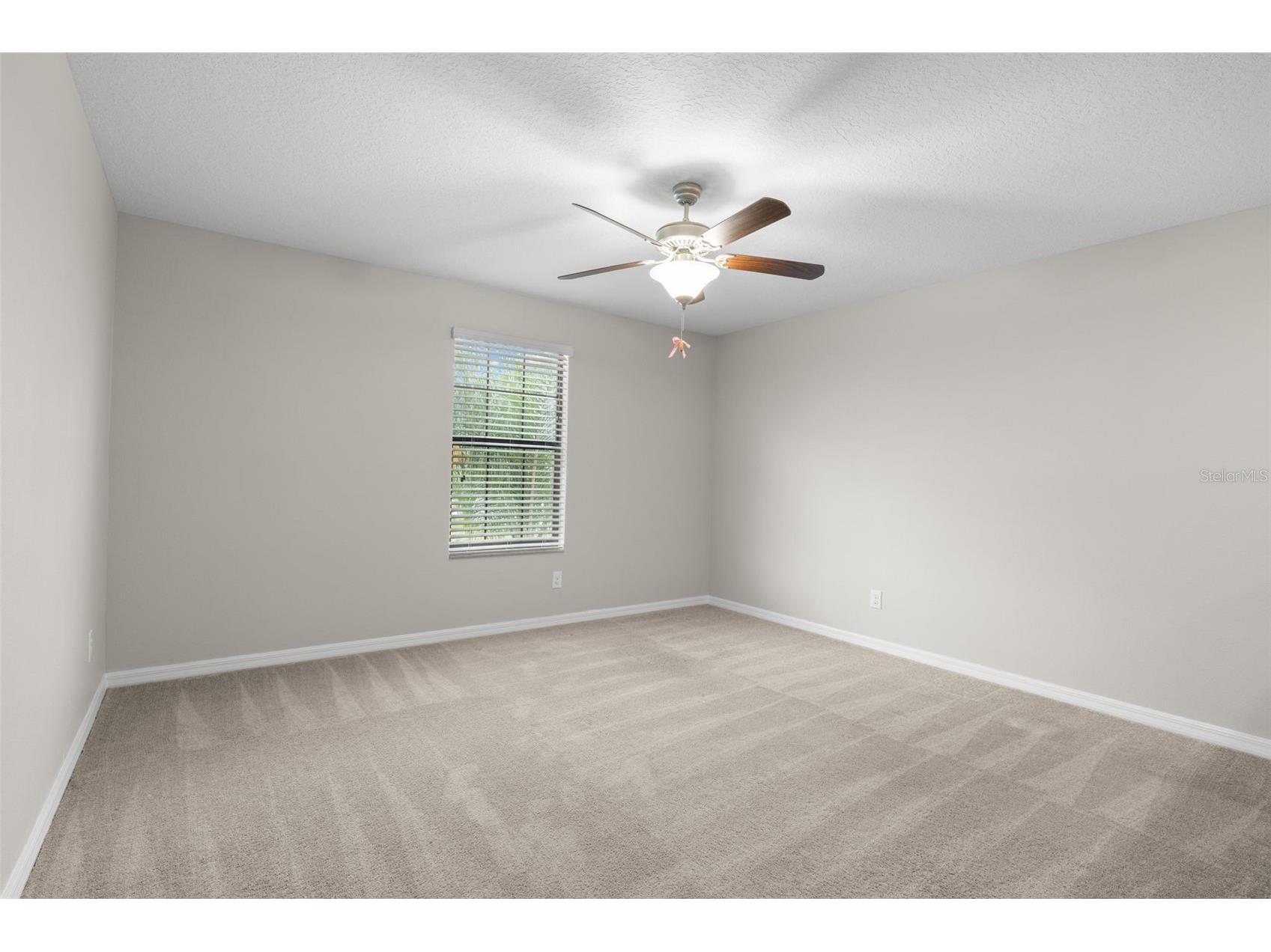 36101 Stable Wilk Avenue Zephyrhills FL 33541 TB8517987 image25