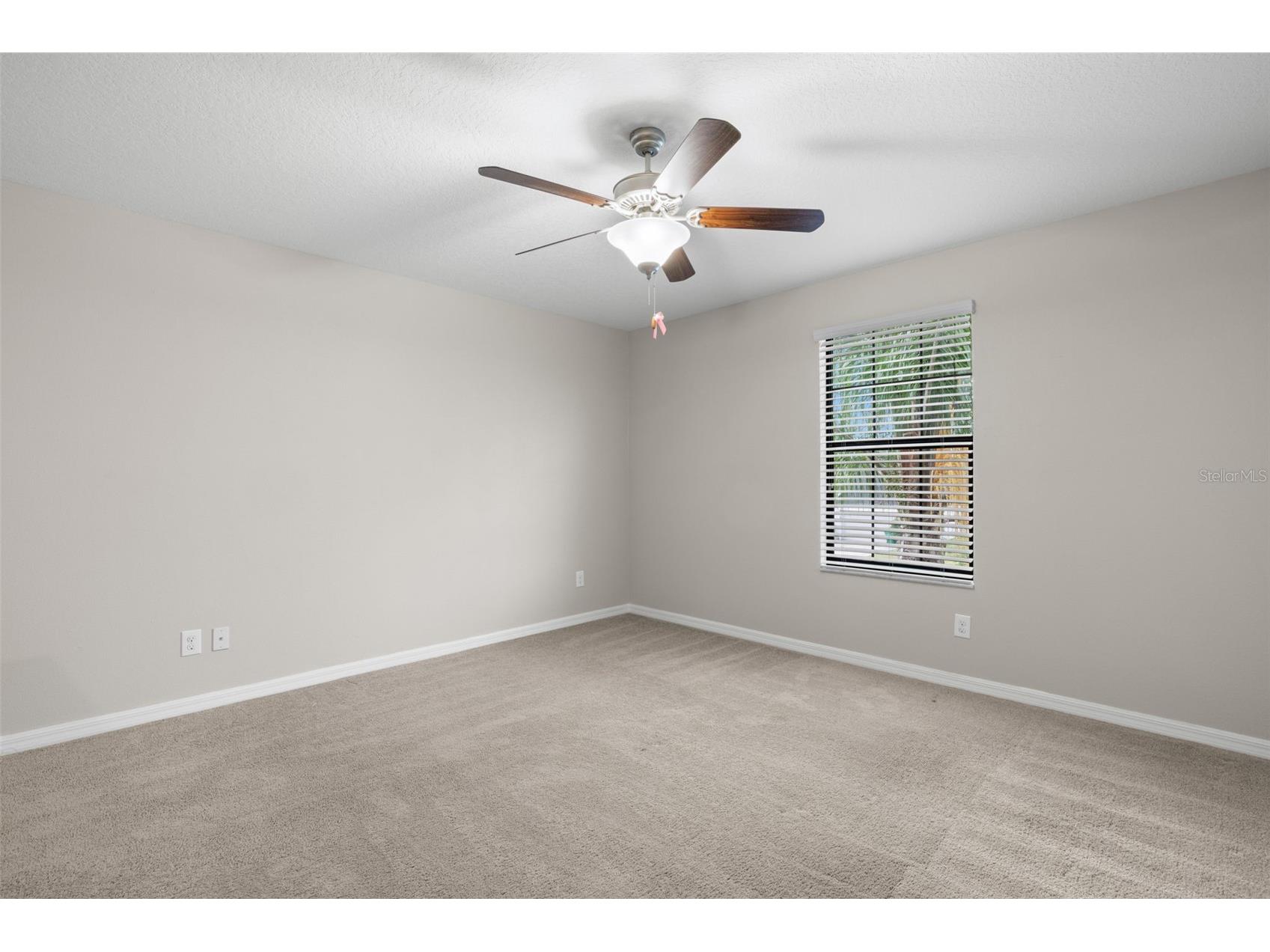 36101 Stable Wilk Avenue Zephyrhills FL 33541 TB8517987 image26