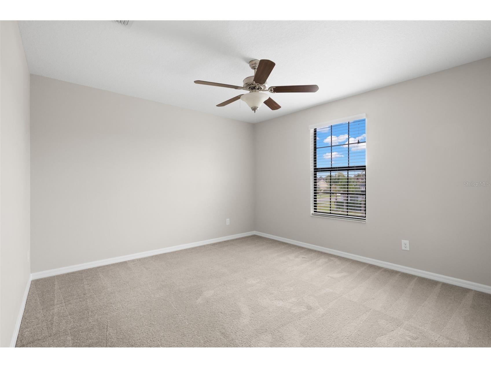 36101 Stable Wilk Avenue Zephyrhills FL 33541 TB8517987 image32