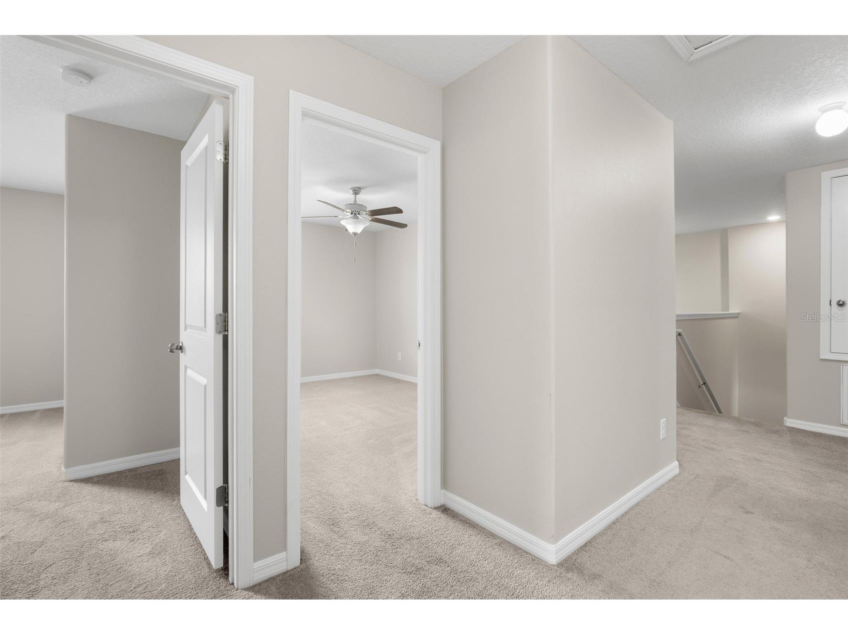 36101 Stable Wilk Avenue Zephyrhills FL 33541 TB8517987 image40