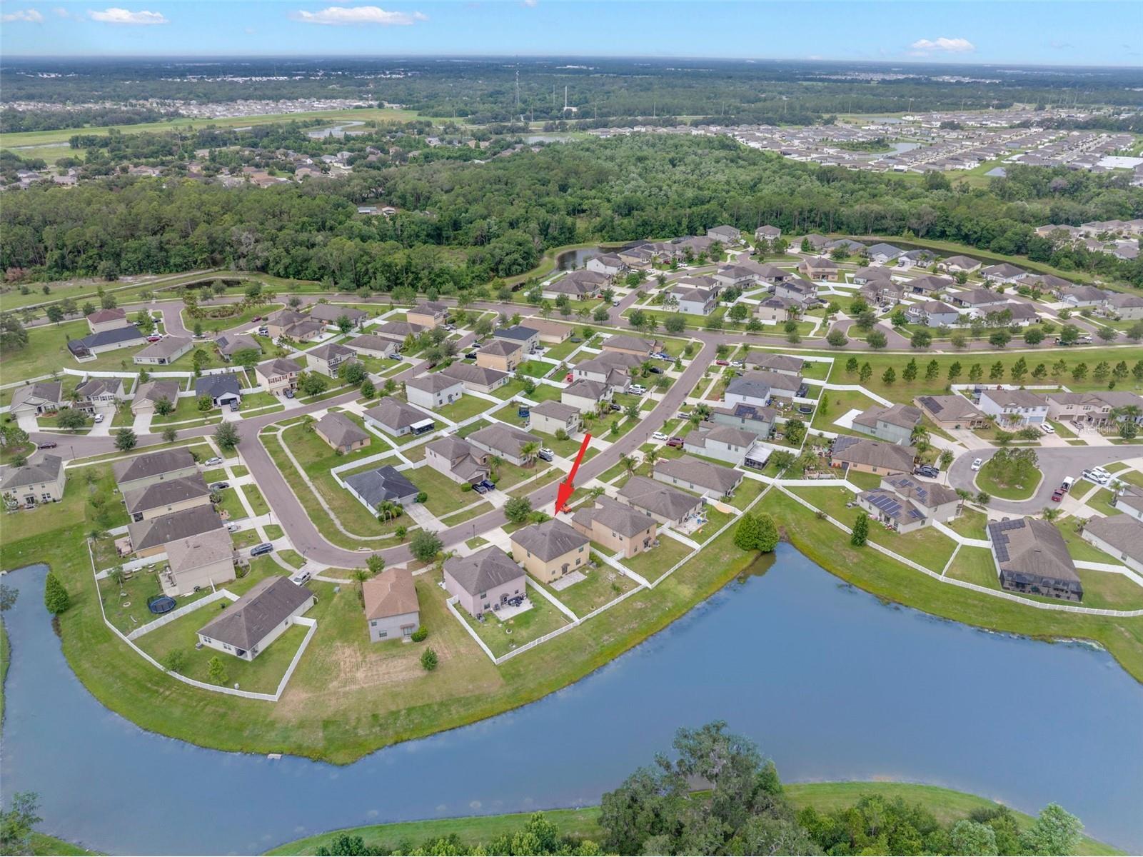 36101 Stable Wilk Avenue Zephyrhills FL 33541 TB8517987 image47
