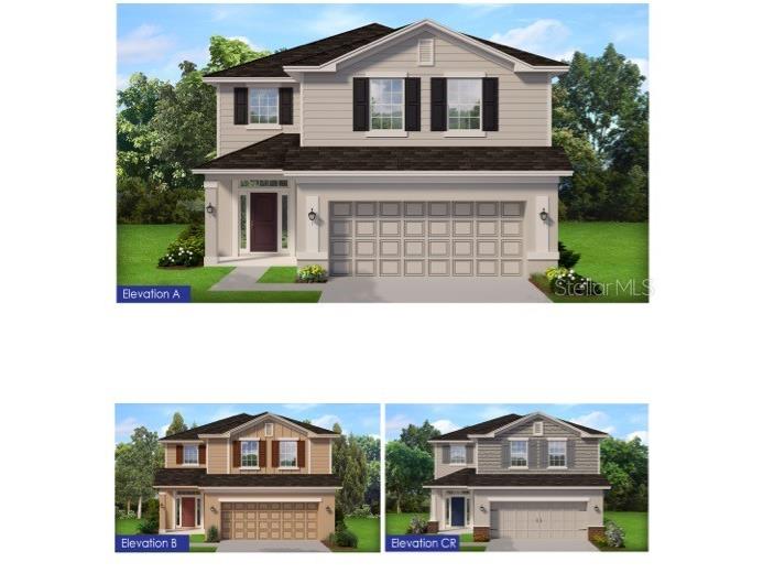 36101 Trinity Glade Road Dade City FL 33525 T3448911 image1