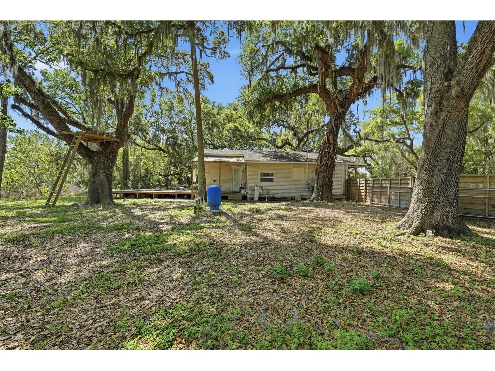 36104 Emeralda Avenue Leesburg FL 34788 OM720565 image10