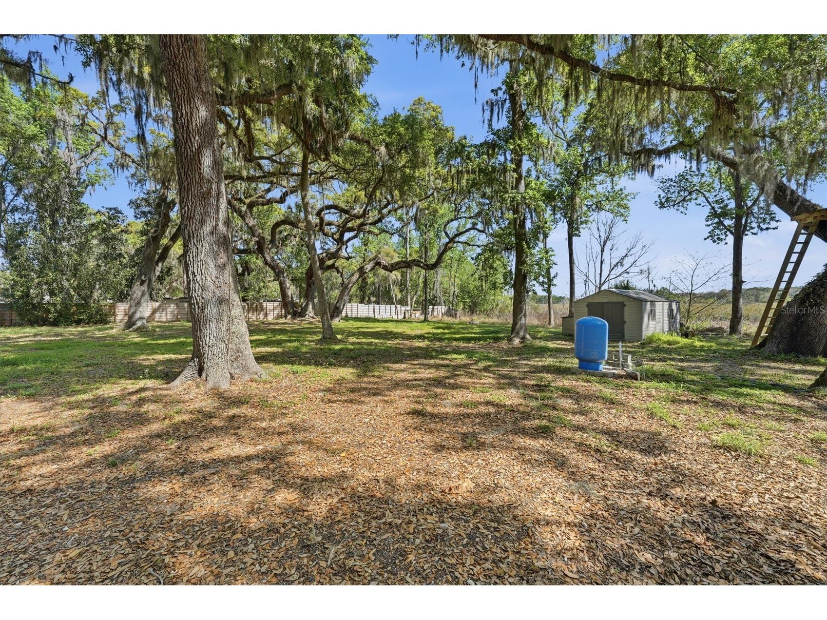 36104 Emeralda Avenue Leesburg FL 34788 OM720565 image7