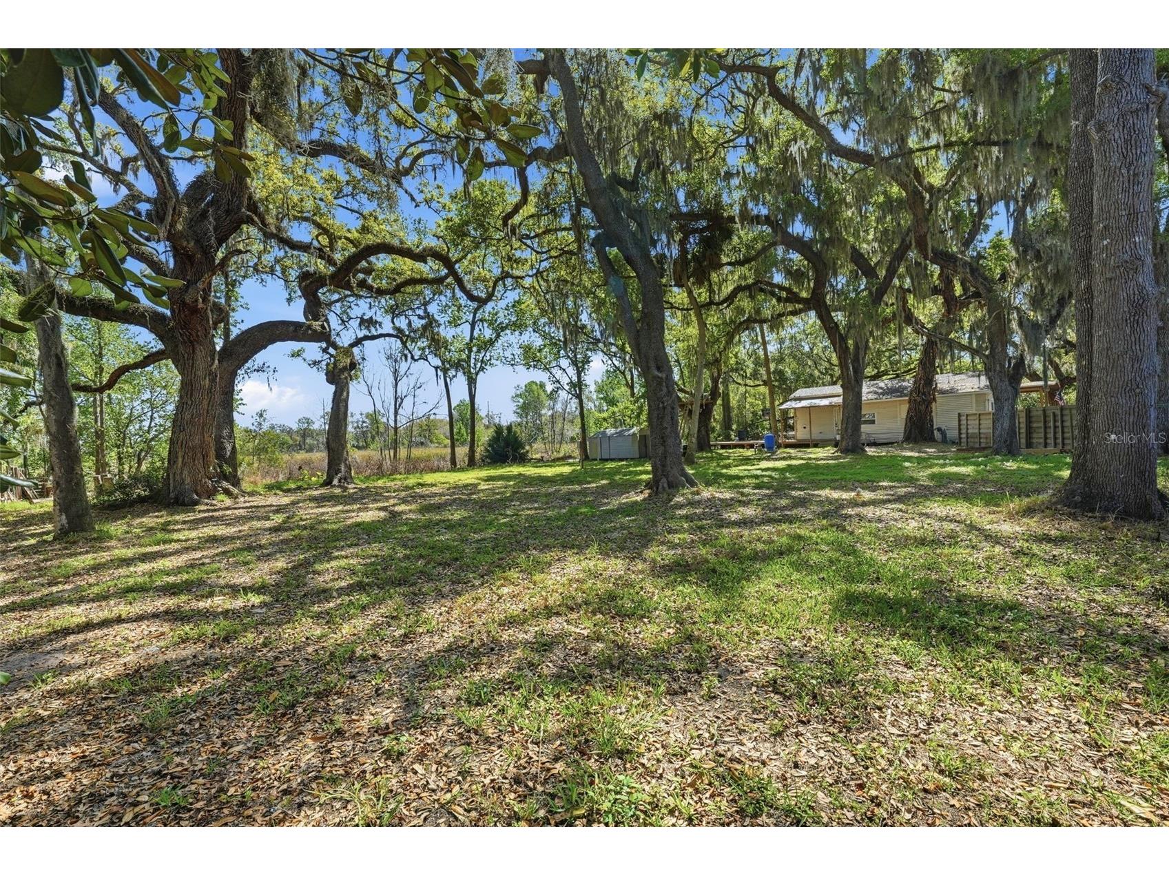 36104 Emeralda Avenue Leesburg FL 34788 OM720565 image8