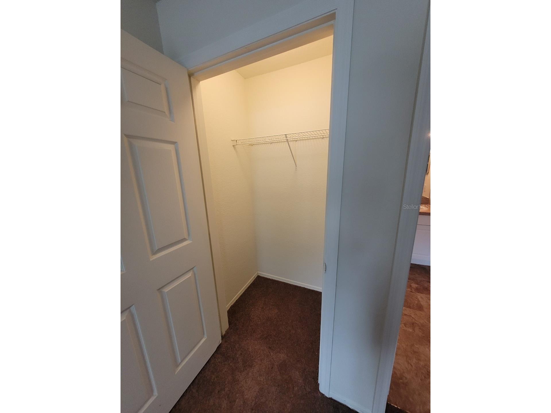 36106 Lake Chase Boulevard #102 Zephyrhills FL 33541 TB8511864 image11