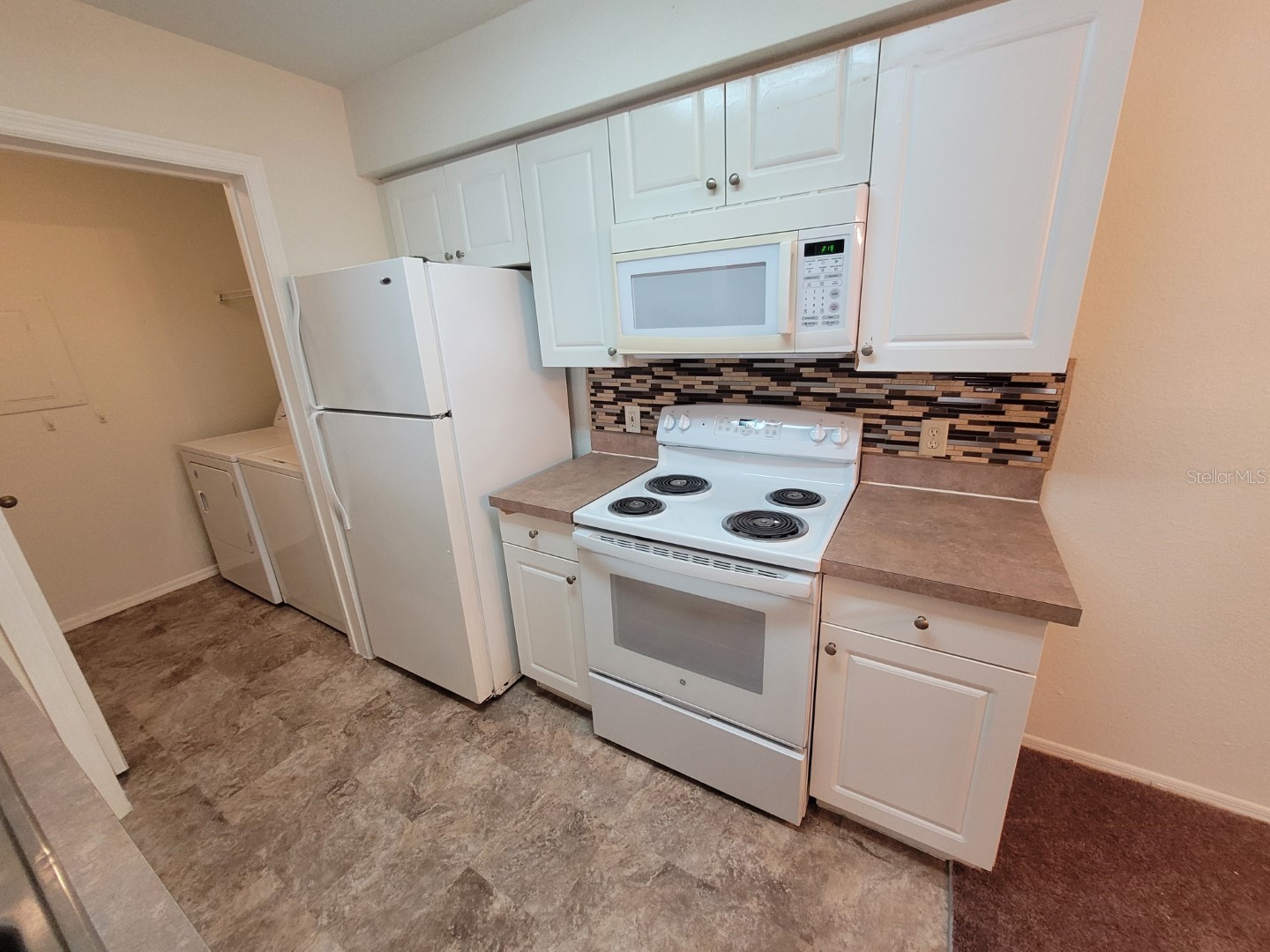36106 Lake Chase Boulevard #102 Zephyrhills FL 33541 TB8511864 image17