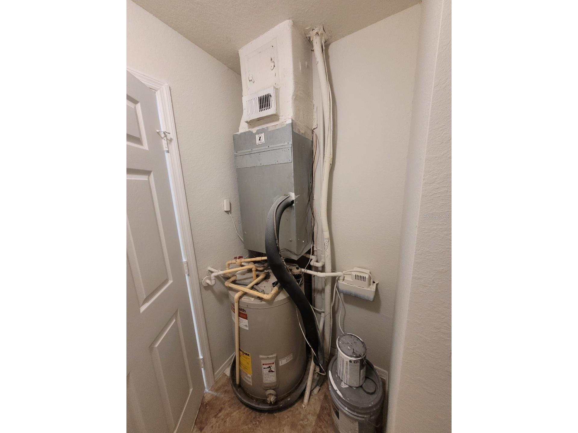 36106 Lake Chase Boulevard #102 Zephyrhills FL 33541 TB8511864 image20
