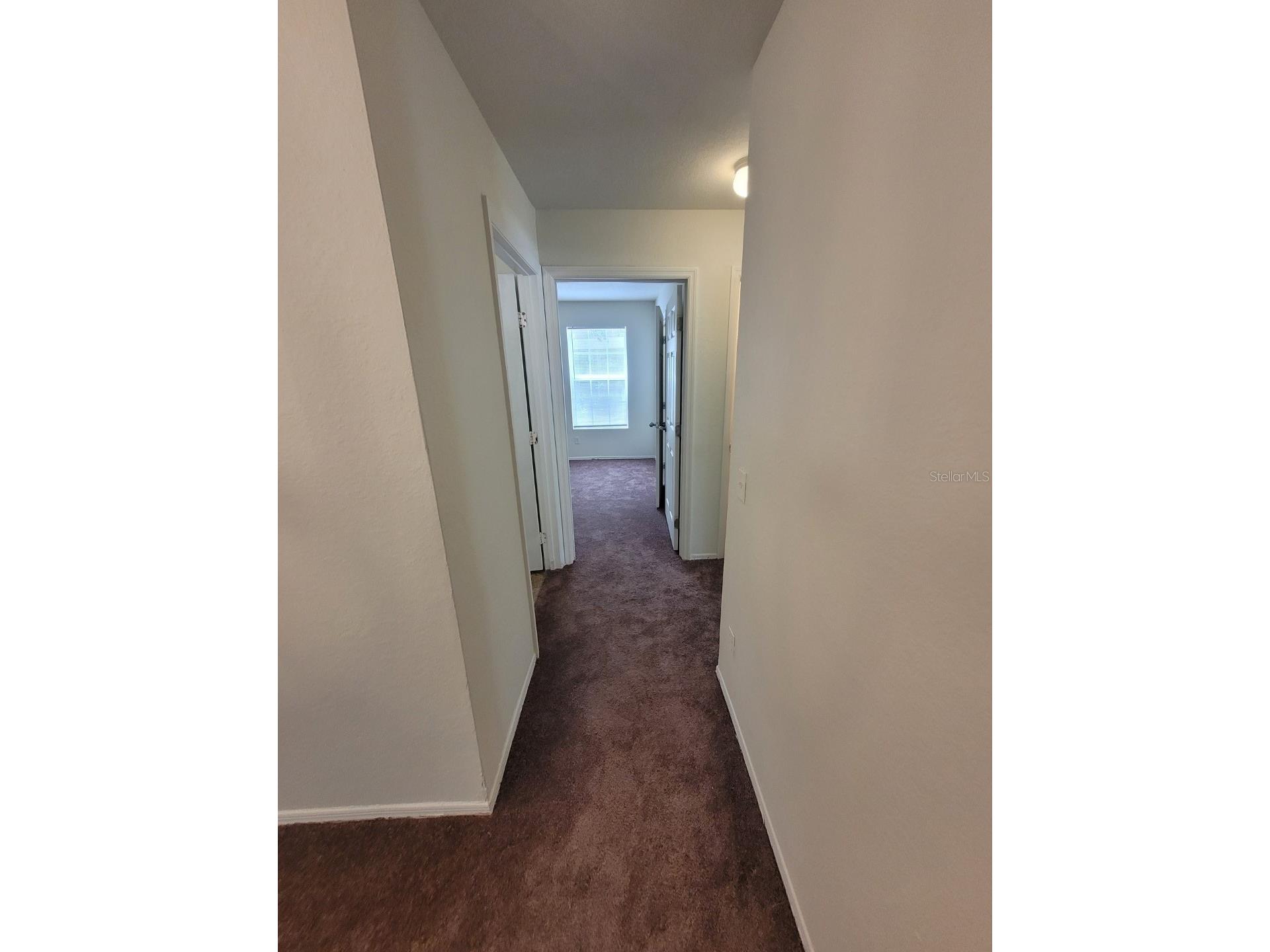 36106 Lake Chase Boulevard #102 Zephyrhills FL 33541 TB8511864 image21