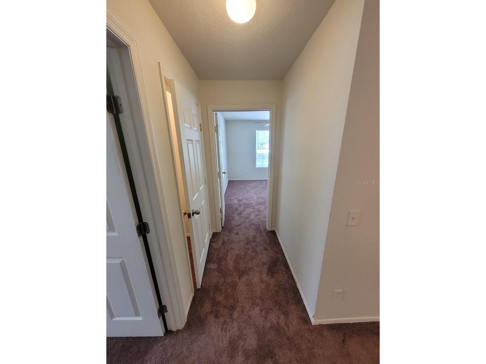 36106 Lake Chase Boulevard #102 Zephyrhills FL 33541 TB8511864 image30