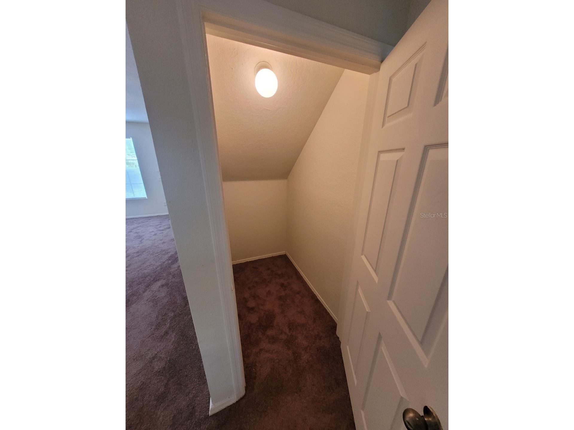 36106 Lake Chase Boulevard #102 Zephyrhills FL 33541 TB8511864 image6