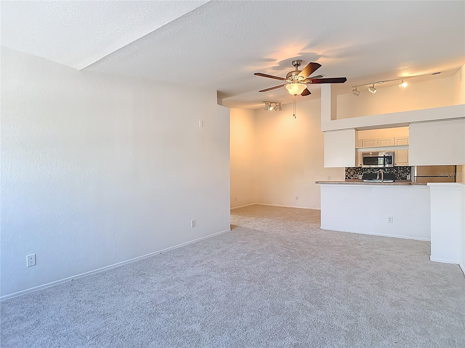 36106 Lake Chase Boulevard #201 Zephyrhills FL 33541 TB8491689 image11