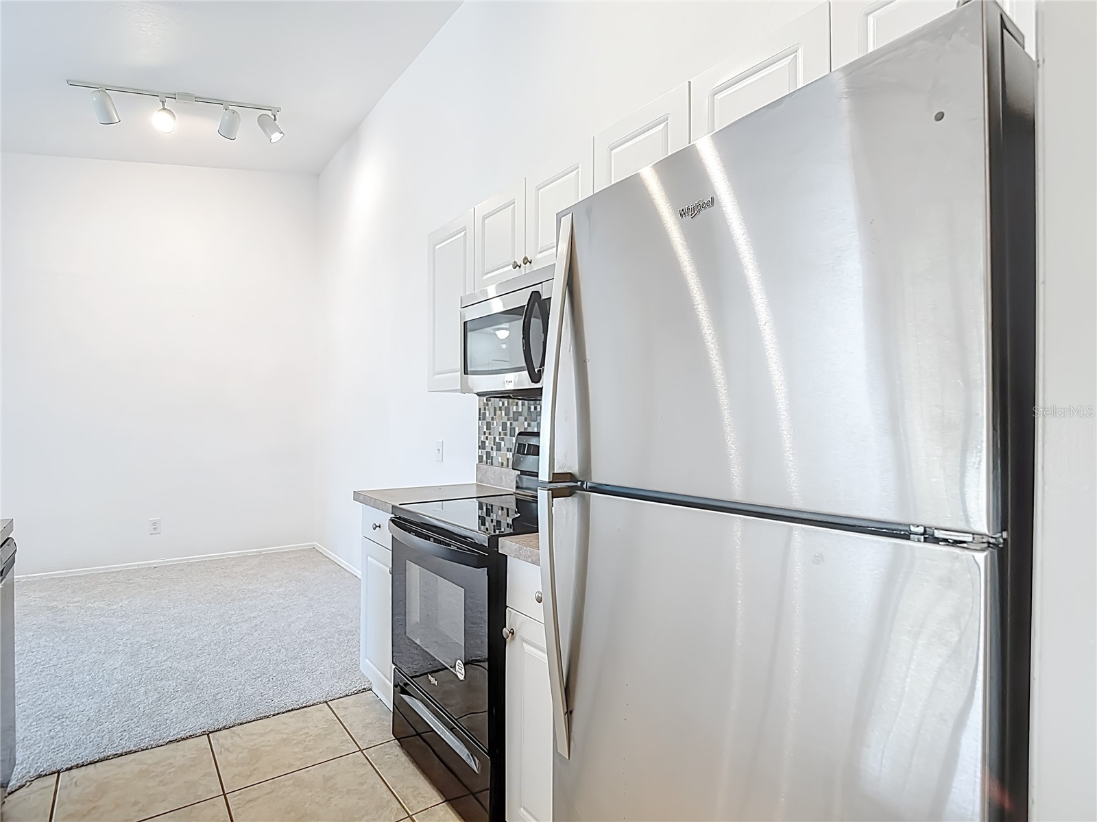 36106 Lake Chase Boulevard #201 Zephyrhills FL 33541 TB8491689 image19