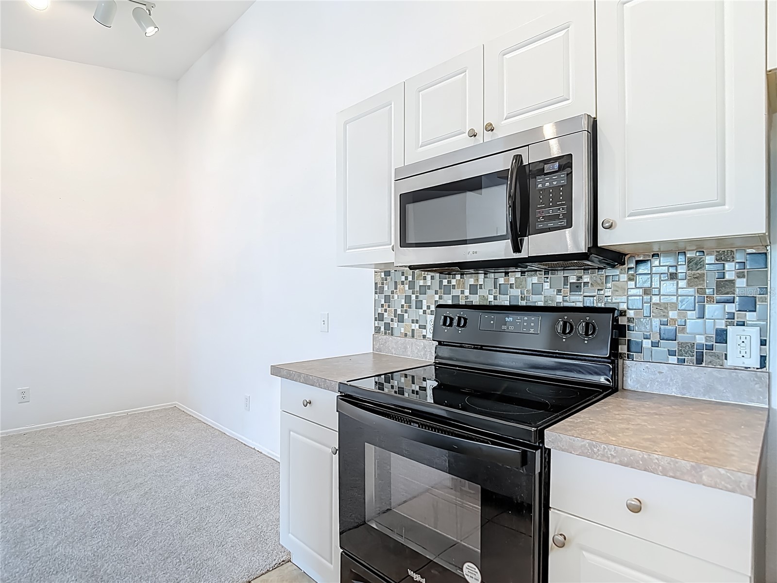 36106 Lake Chase Boulevard #201 Zephyrhills FL 33541 TB8491689 image20