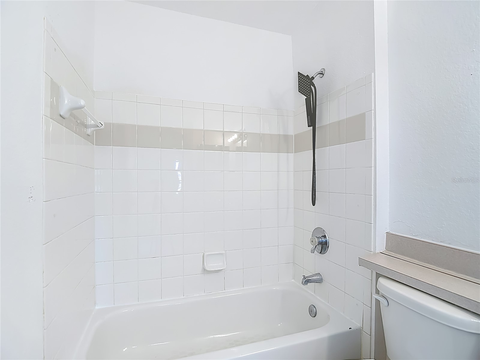 36106 Lake Chase Boulevard #201 Zephyrhills FL 33541 TB8491689 image27
