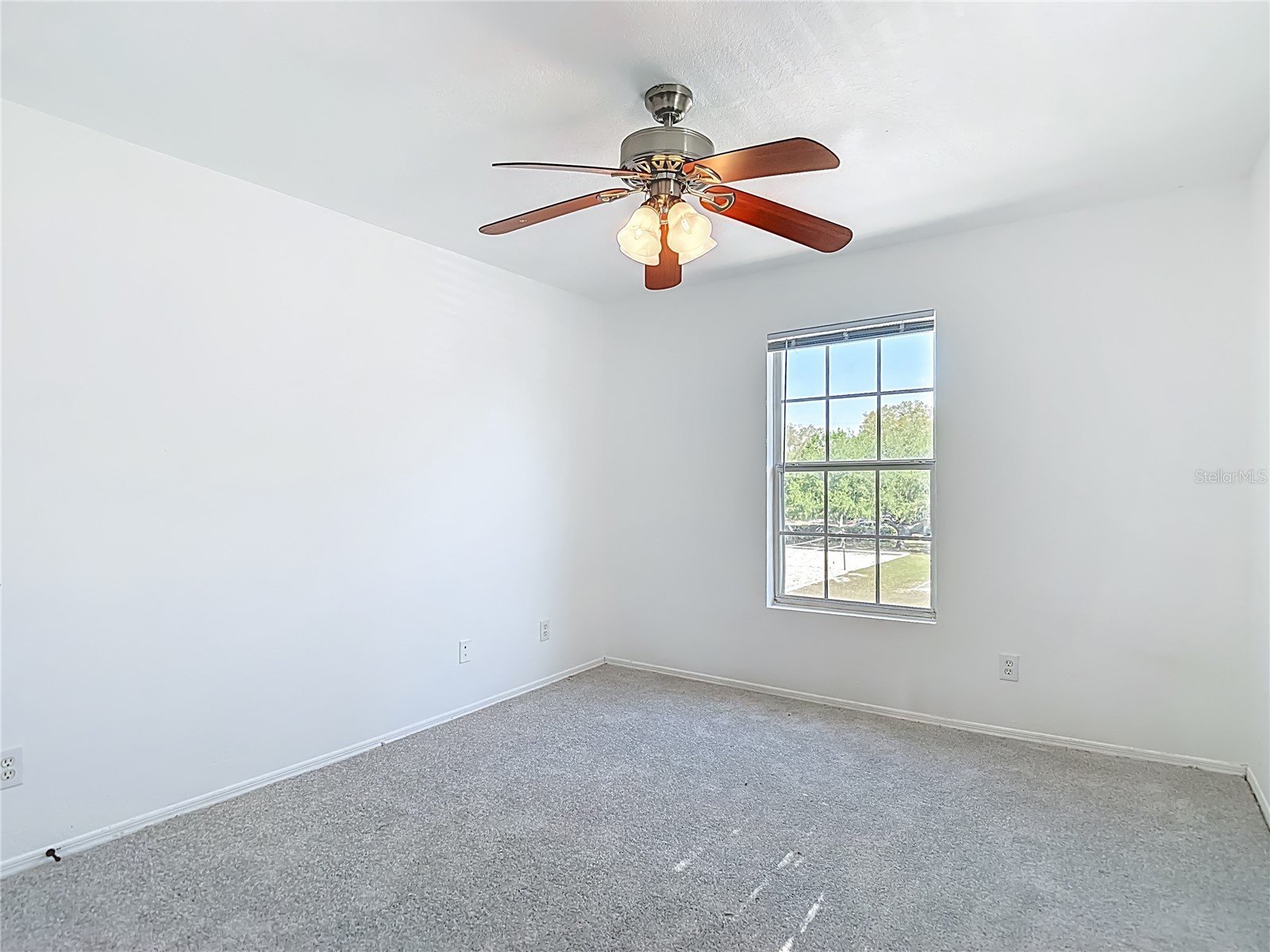 36106 Lake Chase Boulevard #201 Zephyrhills FL 33541 TB8491689 image28