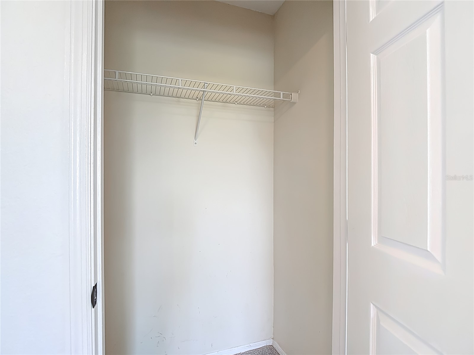 36106 Lake Chase Boulevard #201 Zephyrhills FL 33541 TB8491689 image31