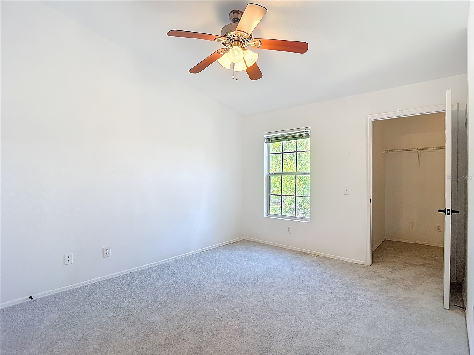 36106 Lake Chase Boulevard #201 Zephyrhills FL 33541 TB8491689 image33
