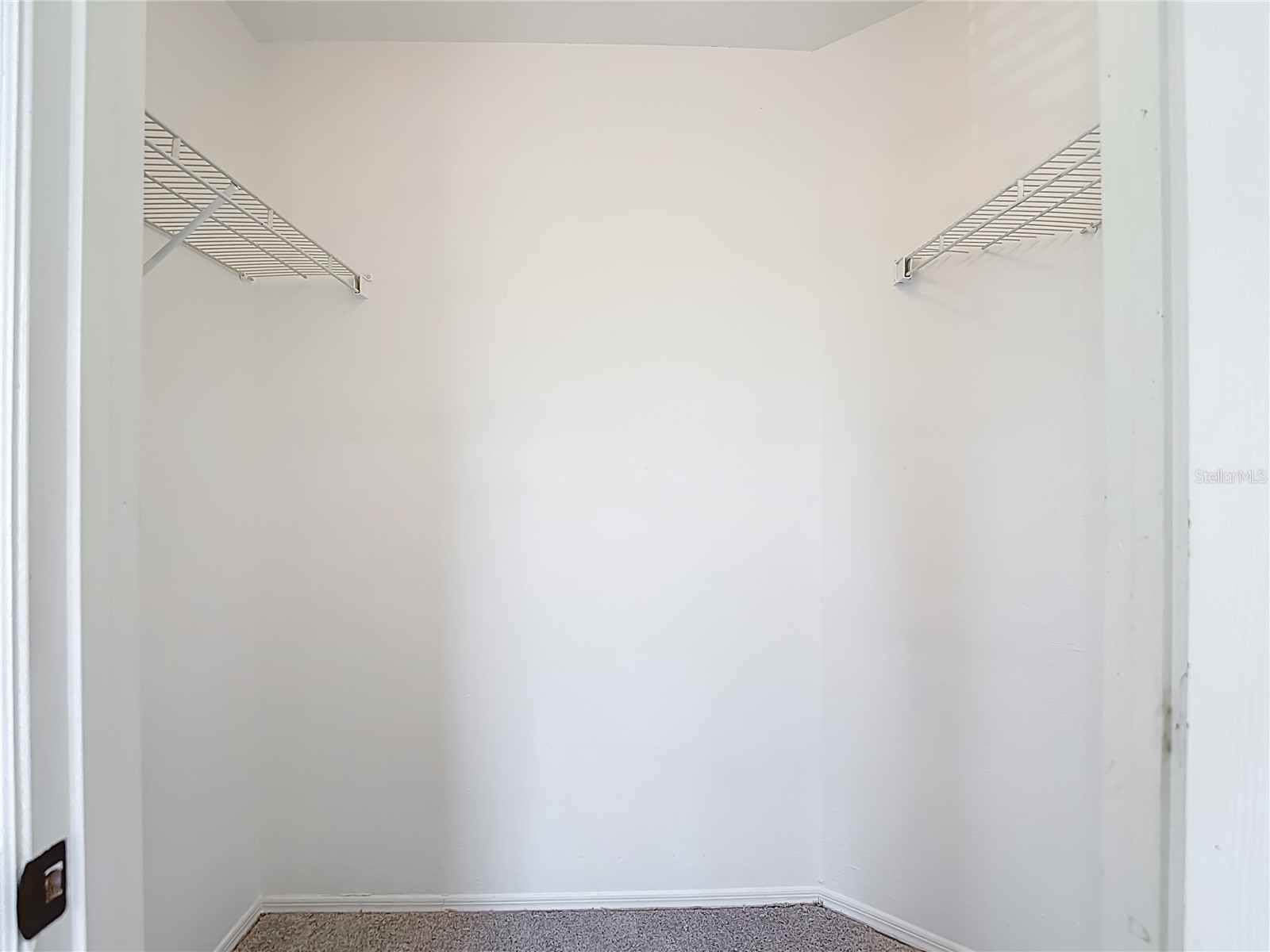 36106 Lake Chase Boulevard #201 Zephyrhills FL 33541 TB8491689 image38