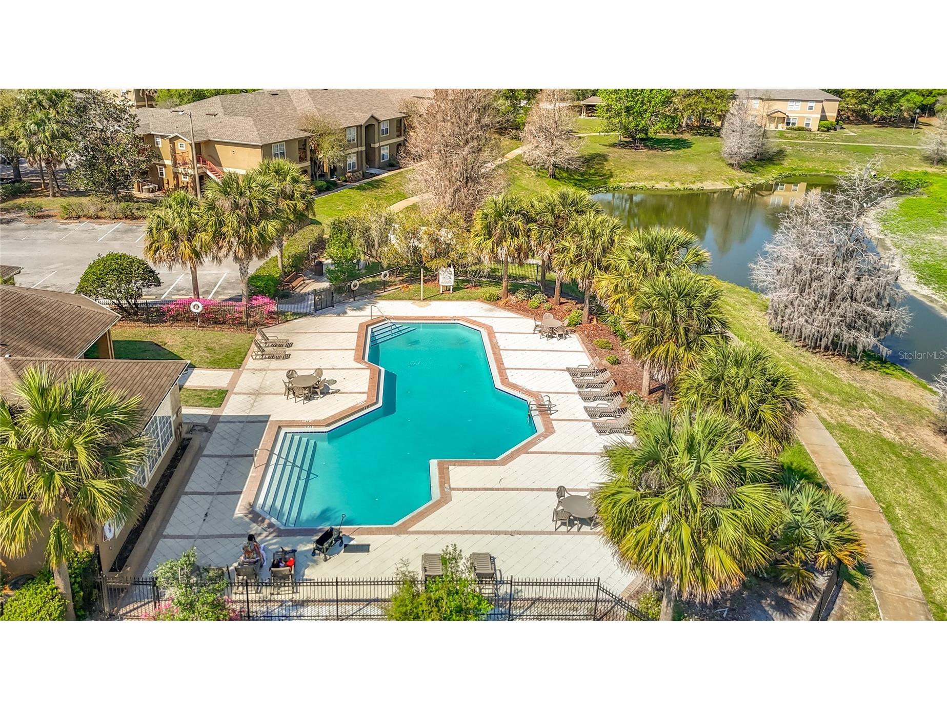 36106 Lake Chase Boulevard #201 Zephyrhills FL 33541 TB8491689 image49
