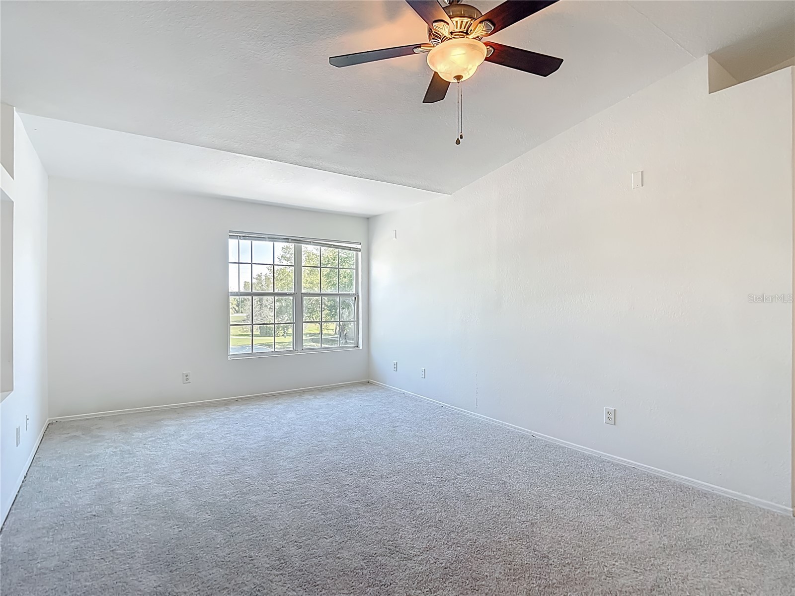 36106 Lake Chase Boulevard #201 Zephyrhills FL 33541 TB8491689 image8