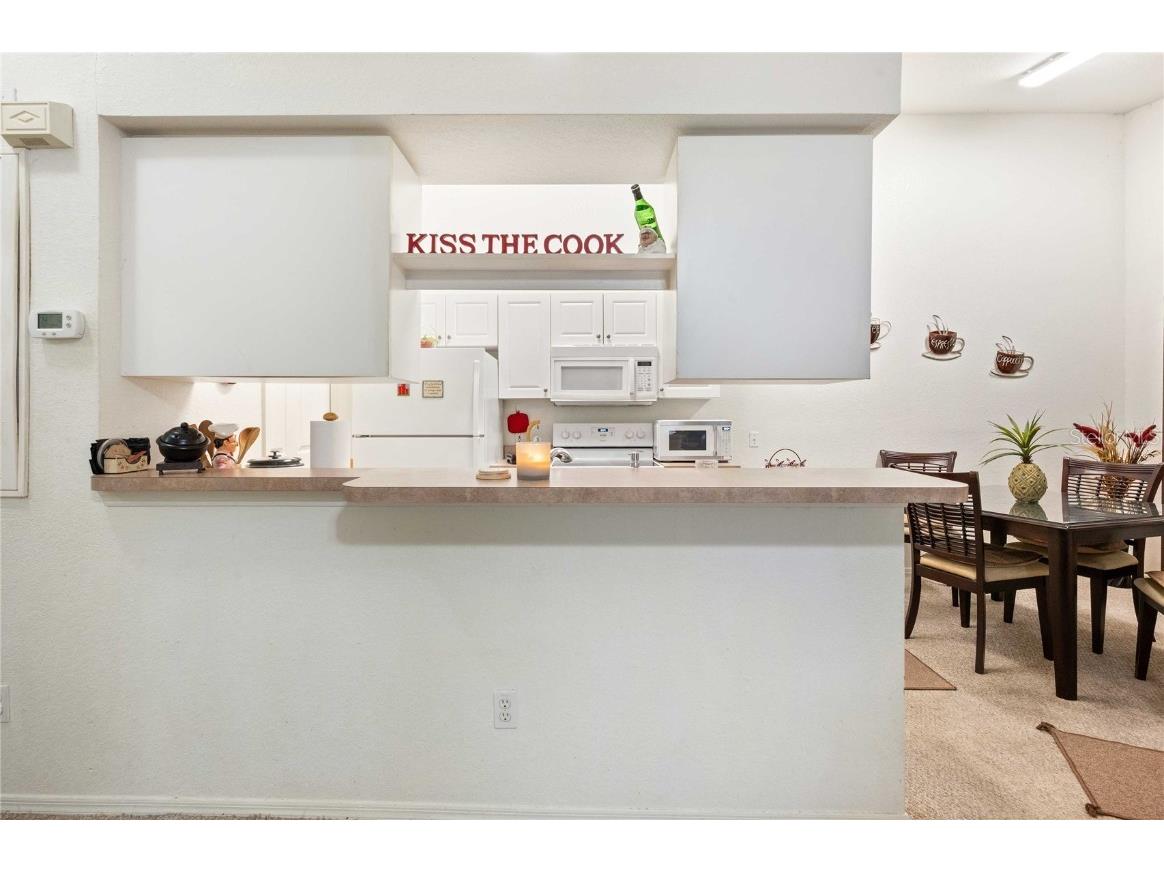 36106 Lake Chase Boulevard #202 Zephyrhills FL 33541 TB8437563 image11